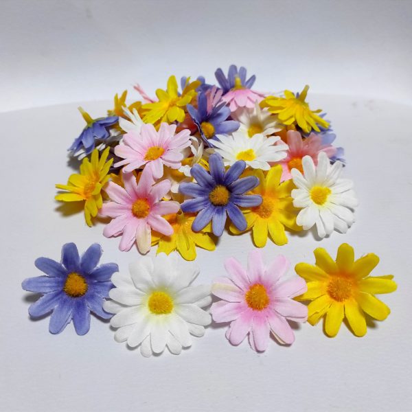 Margarétky mix 4 cm - 40 ks